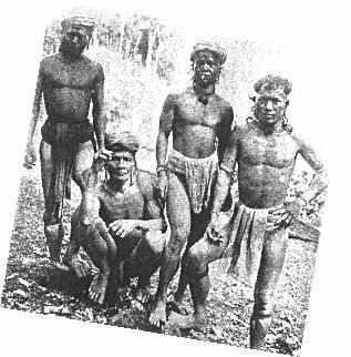 indigena 1