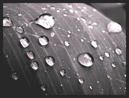agua